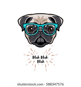 Cute portrait of nerdy Pug dog. Vector illustration isolated on white background