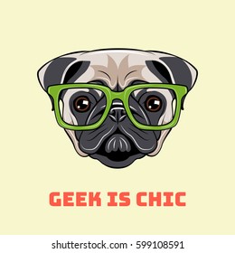 Cute portrait of nerdy Pug dog. Vector illustration isolated on white background