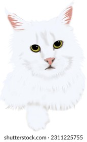 Cute portrait of persia cat. Kitty cartoon watercolor graphic vector illustration