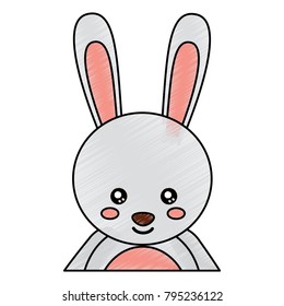 cute portrait rabbit animal baby  