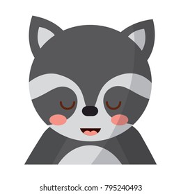 cute portrait raccoon animal baby with close eyes