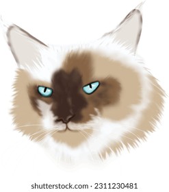 Retrato lindo del gato siam. Dibujo gráfico de la acuarela de dibujos animados de Kitty