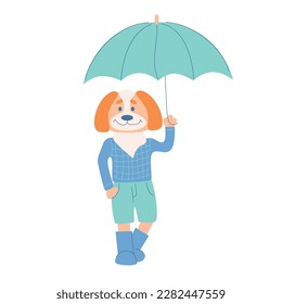 Cute positive dog in cloth standing with umbrella. Funny canine in rubbers. Anthropomorphic animal character. Rainy weather monsoon card design. Vector illustration.