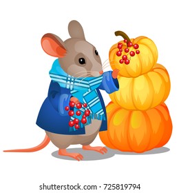 Cute poster with gray mouse in scarf holding bunch of red berries and pile of ripe pumpkins isolated on white background. Sketch for poster harvest holiday or thanksgiving day. Vector cartoon close-up