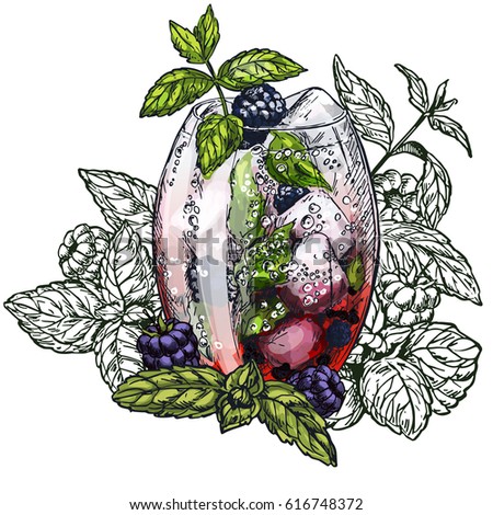 Cute poster or menu design with hand-drawn vector colorful sketch illustration of mojito cocktail, blackberry and mint leaves, with the unfilled leaves on background