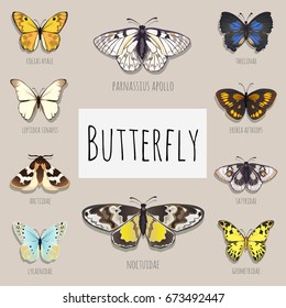 Cute poster on the topic of colorful butterflies. Sample of card or album cover for collectibles or textbooks. Stylish design on subject of nature and wildlife. Cartoon vector close-up illustration.