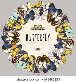 Cute poster on the topic of colorful butterflies. Sample of card or album cover for collectibles or textbooks. Stylish design on subject of nature and wildlife. Cartoon vector close-up illustration.