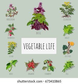Cute poster on the topic of a healthy diet. Vegetables and greens are rich in fiber. Sample cards, covers for cookbooks or manuals for weight loss. Cartoon vector close-up illustration.