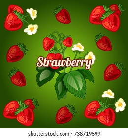 Cute poster with set of ripe red berries strawberries and blooming bush. Card, placard, banner on theme of healthy food, fitness diet. Sketch cover for cookbook or cocktail recipes. Vector cartoon.