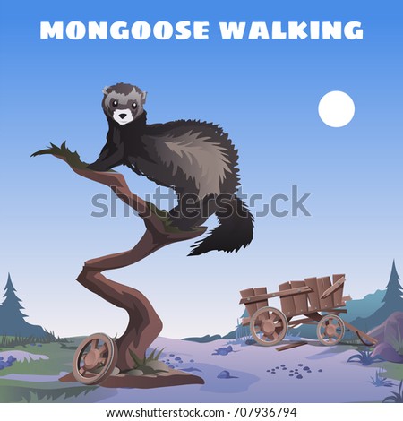 Cute poster in wild West style. Walking mongoose sitting on the trunk of dead tree on background of collapsed wooden cart at twilight by the light of full moon. Vector cartoon close-up illustration.
