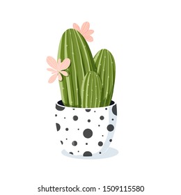 cute a potted cacti; blooming plants in a dotted black and white flowerpot; design element for various purposes like greeting cards, clip arts, icons, stickers; vector illustration in cartoon style