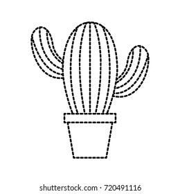 cute potted cactus flora decoration natural