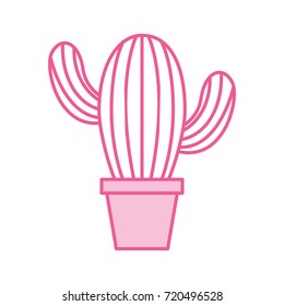 cute potted cactus flora decoration natural