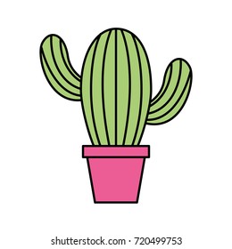 cute potted cactus flora decoration natural