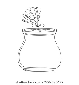 Cute Potted Flower Line Art Vector Illustration Isolated on White Background 166