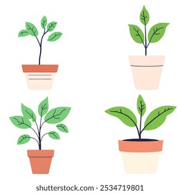 Cute Potted plants, ceramic pots, cups and different indoor types of plants. House Plants set. Isolated on white background. flat vector illustration. Eps