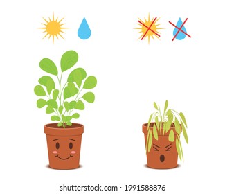 Cute potted plants characters with watering and sunlight symbols. Happy blossom vs sad wilted flowers isolated on white background. Vector cartoon illustration in childish style.