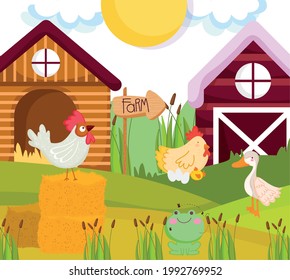 cute poultry and frog farm cartoon