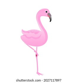 Cute poultry pink flamingo with color gradation. Icon, clip art for kids, party, animal or wildlife theme.