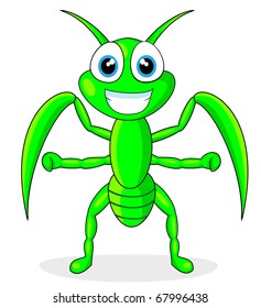 cute praying mantis