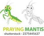 Cute Praying mantis cartoon Coloring Book, hand drawn simple lines