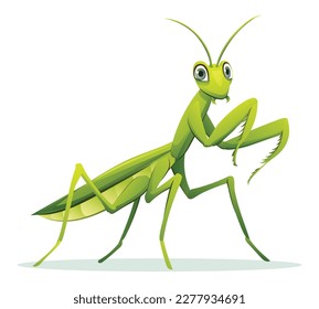 Cute praying mantis cartoon illustration isolated on white background