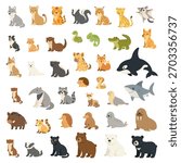 Cute predator animal set featuring tigers, wolf, puma and bears, predator animal set illustration perfect for kids learning, posters, stickers, toys and educational wildlife designs.