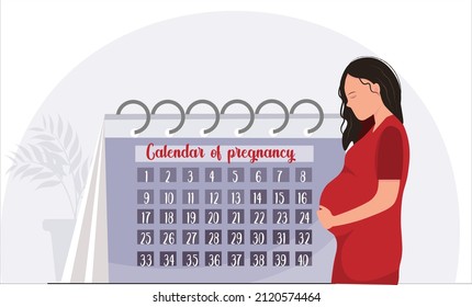 Cute pregnant woman looking at the calendar of pregnancy,  woman hugs her belly and stands by the monthly planner calendar on plain background, woman health concept, pregnancy concept, flat Vector ill