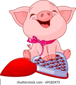 Cute pretty pig at Valentines Day with chocolates