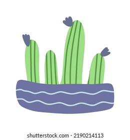 Cute prickly cactus plant or cacti with thorns in pot. Hand-drawn desert tropical cactus with spines and flowers. Colored flat cartoon vector illustration isolated on white background
