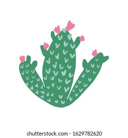 Cute prickly green cactus. Cacti flower isolated on white background. Cactus in doodle style. Hand drawn floral vector illustration.