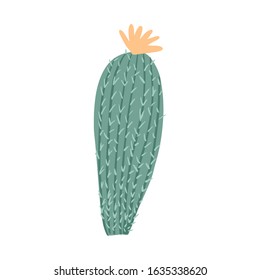 Cute prickly green cactus. Cacti flower isolated on white background. Cactus in doodle style. Hand drawn floral vector illustration.