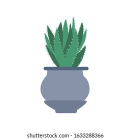 Cute prickly green cactus in pots. Houseplant aloe in doodle style. Cacti flower isolated on white background. Hand drawn floral vector illustration.