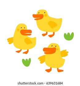 Cute print with duck 