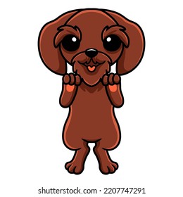 Cute pudelpointer dog cartoon standing