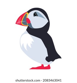 Cute Puffin as Arctic Animal with Black and White Plumage and Large Bright Beak Vector Illustration