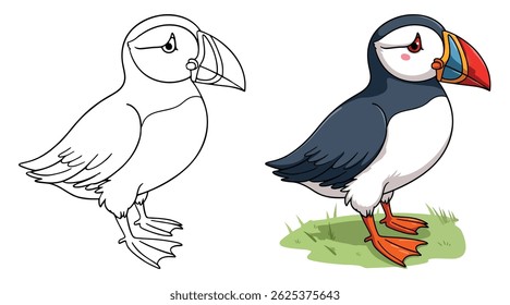 A Cute Puffin Isolated Line Art Vector Outline Illustration Black and White with Coloring Sample
