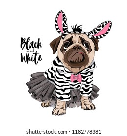 Cute Pug in a ballerina tutu, in a striped cardigan with a bow and in a zebra mask. Black and White - lettering quote. Humor card, poster, t-shirt composition, hand drawn vector illustration.