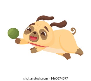 Cute pug chases a ball. Vector illustration on white background.