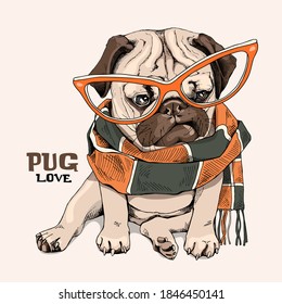 Cute Pug en la bufanda a cuadros y en las gafas. Tarjeta de humor, composición de camisetas, impresión a mano. Ilustración vectorial.