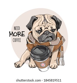 Cute Pug in the checkered scarf with a plastic cup of coffee. Humor card, t-shirt composition, hand drawn style print. Vector illustration.