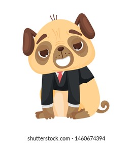 Cute pug in a classic jacket. Vector illustration on white background.