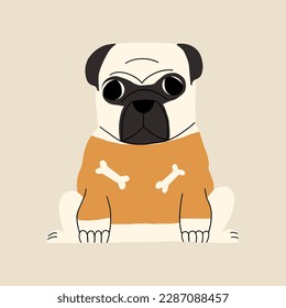 Cute pug in clothes. Puppy illustration