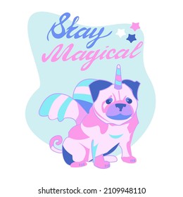 Cute pug in a costume of a unicorn on a blu background. Stay magical - lettering quote. Vector cartoon illustration for greeting card or t-shirt.