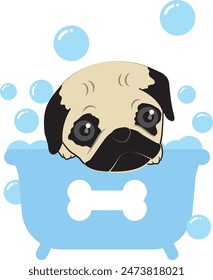 Cute Pug dog in bath tub