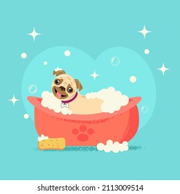 Cute pug dog bathes. Dog in foam. The dog is washing. Vector illustration