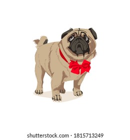 Cute pug dog in bow tie. Adorable friendly purebred chubby domestic pet animal wearing elegant classic elegant accessory cartoon vector illustration isolated on white background