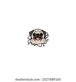 Cute pug dog break through the paper cartoon, vector illustration