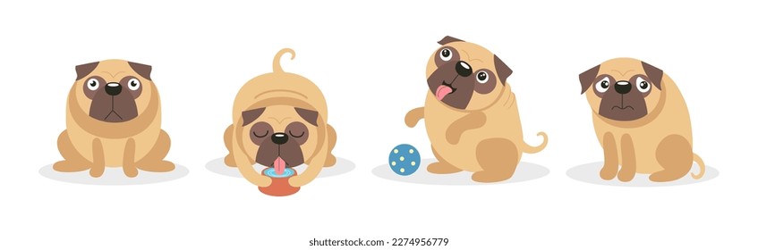 Cute Pug Dog and Canine with Wrinkled Snout Vector Set