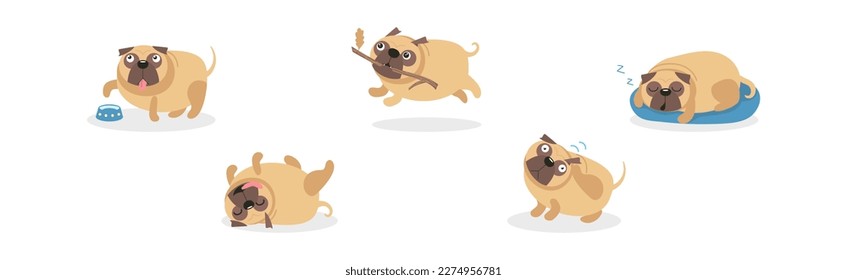 Cute Pug Dog and Canine with Wrinkled Snout Vector Set